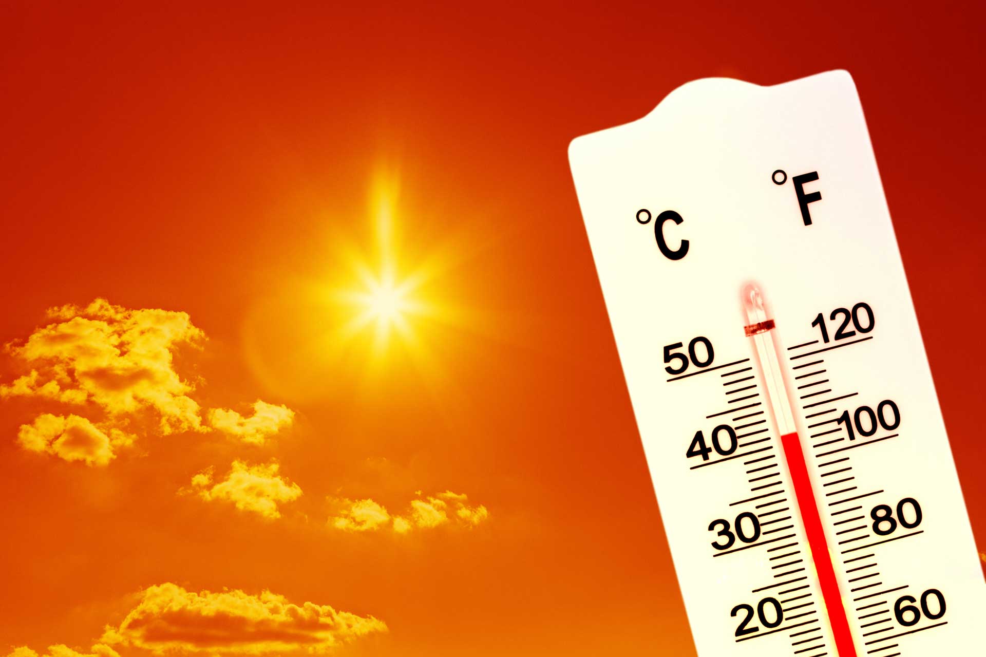 Heatwave | City of Belmont